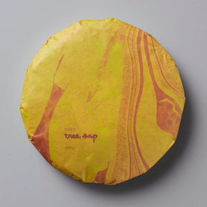 2023 Tree Sap black tea cake with golden yellow wrapper and orange swirl pattern on compressed round disc