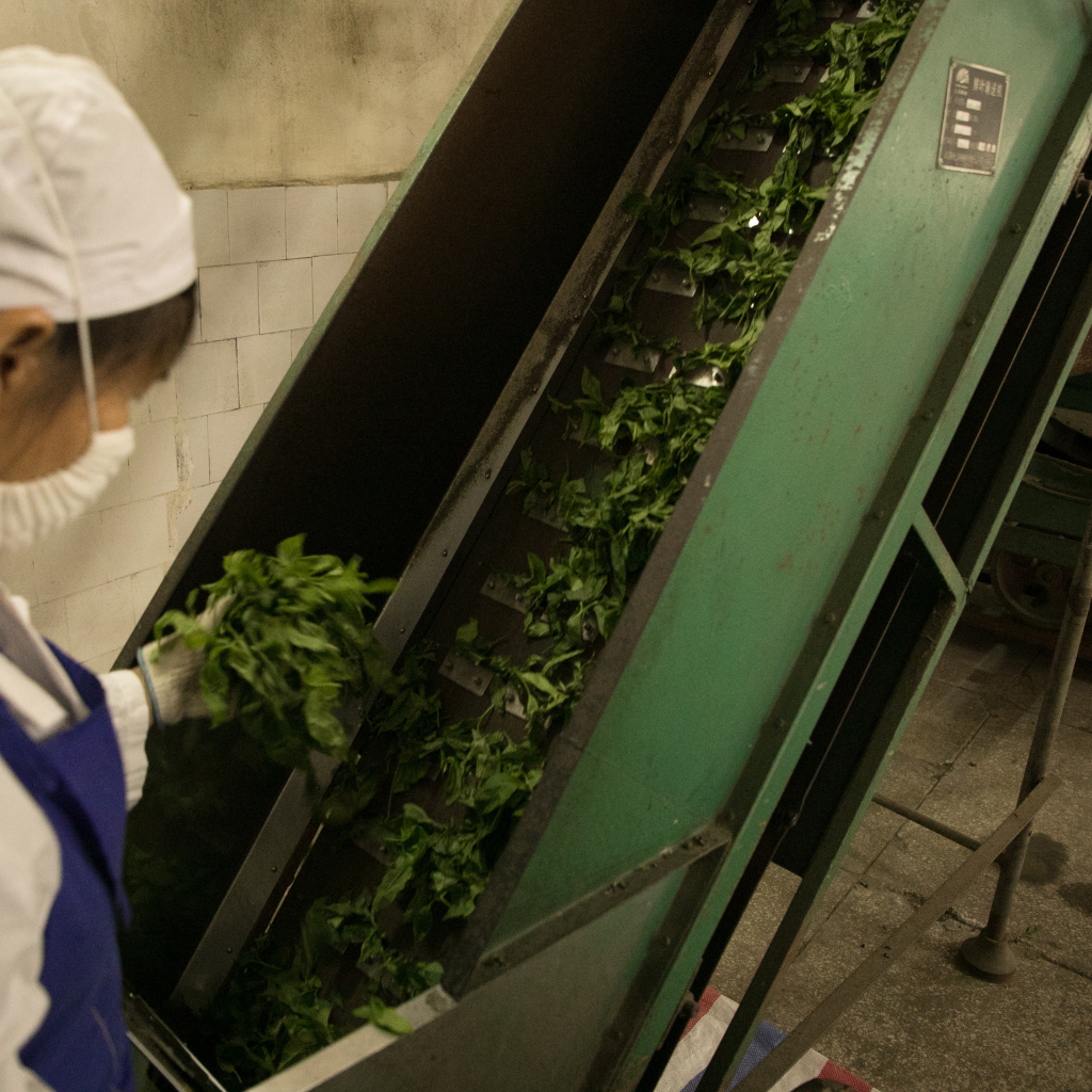 The Gist: One Plant, Many Variables