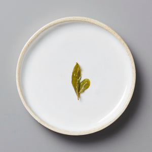 Anshun Maofeng green tea leaves on white ceramic plate with beige rim, minimalist presentation