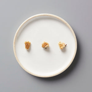 Dried tea flowers from Wazuka, Japan displayed on white ceramic plate showing TEA FLOWER tisane blooms