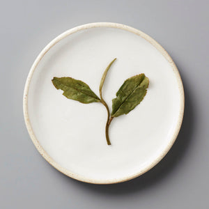 Fuding Bai Mudan white tea leaves displayed on a round white ceramic plate showing traditional plucking standard