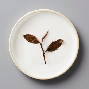 Dried Champagne Long Kou oolong tea leaves arranged as a delicate branch on white ceramic plate