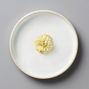 Single dried Chrysanthemum flower for CHRYS tisane centered on white ceramic plate with textured rim