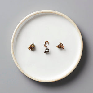GAO WEN black tea leaves arranged on white ceramic plate showing oxidized twisted leaf shapes and characteristic color