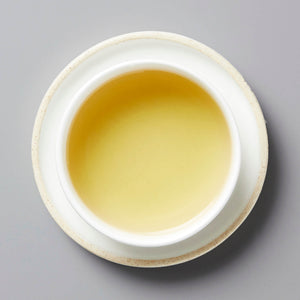 Grandpas Flask huangpian sheng puer tea steeped in white ceramic cup showing golden amber liquor