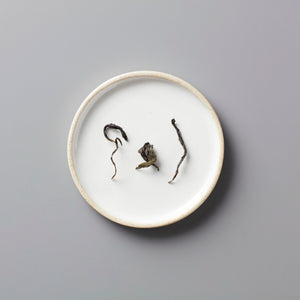 Long Kou Maofeng green tea leaves displayed on white ceramic plate showing delicate twisted dry leaf form