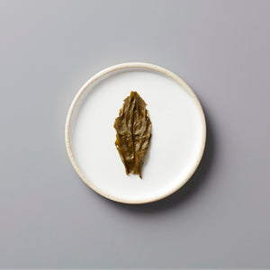 Long Kou Maofeng green tea leaf displayed on white ceramic plate showcasing its twisted fur peak shape