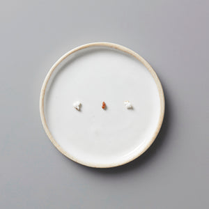 Popped Genmai tisane grains displayed on minimalist white ceramic plate with beige rim on grey background