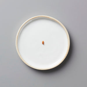 Single popped genmai rice grain on white ceramic plate showcasing POPPED GENMAI tisane from Wazuka, Japan