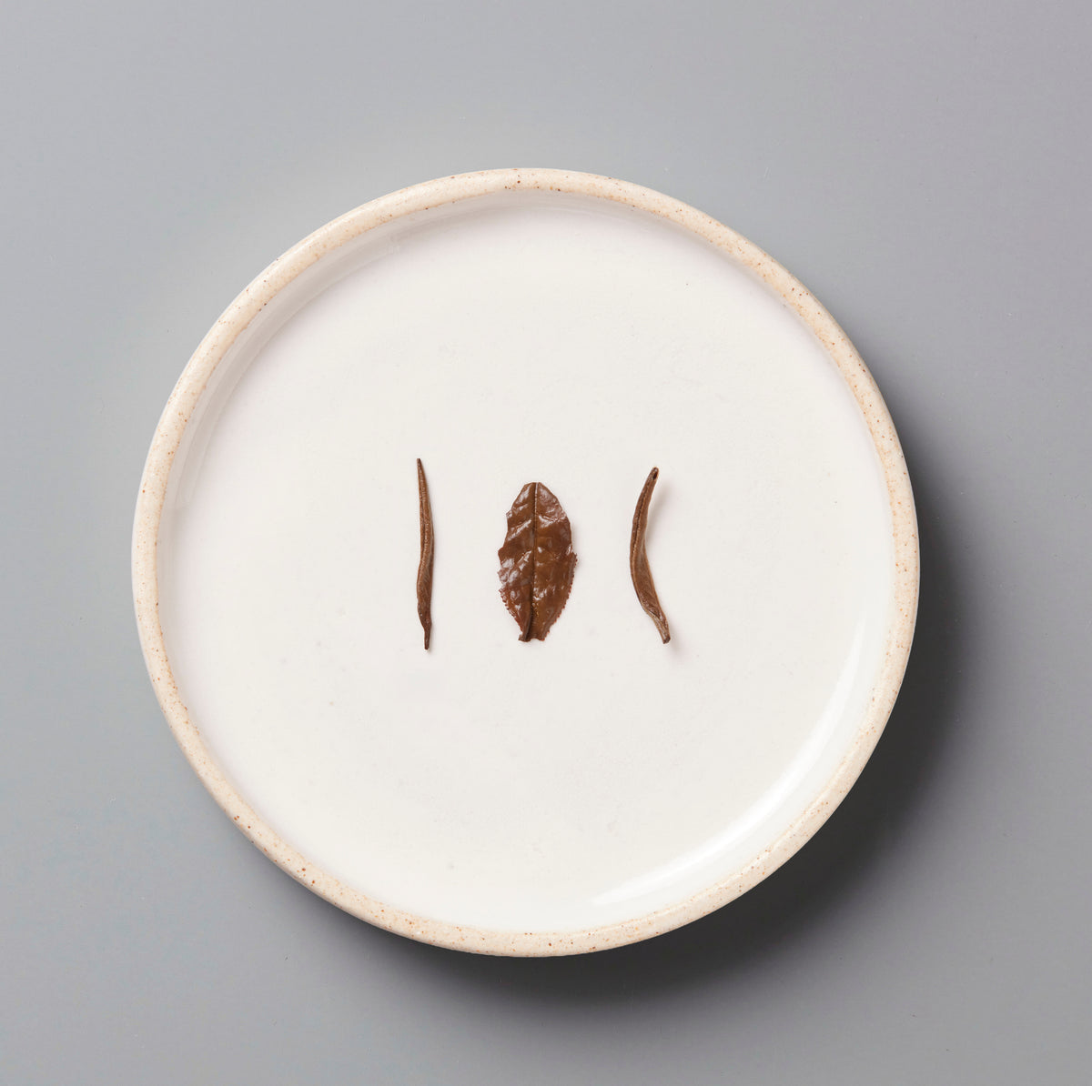 Three wet bai mu dan leaves on a white ceramic plate with a beige rim against a gray background