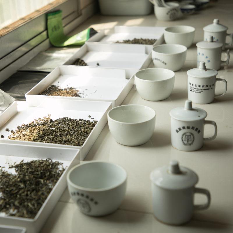 Loose leaf teas arranged in tasting trays with porcelain cups for side-by-side comparison.