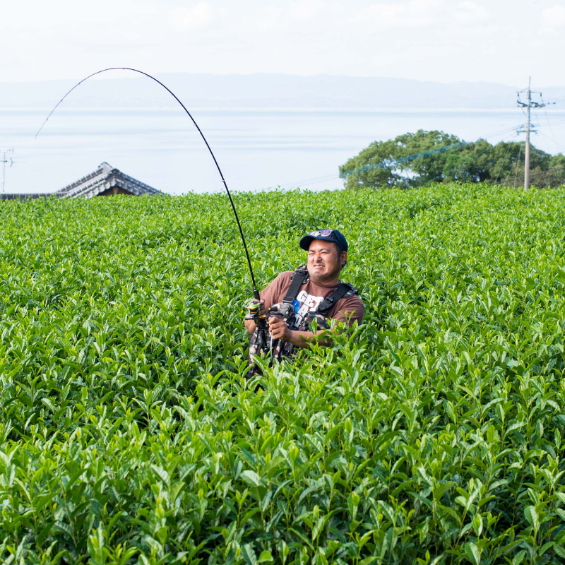 A man stands in a lush green tea field holding a fishing rod with concentrated expression. A serene ocean view and distant hills are visible in the background.