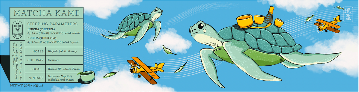Cartoon turtles with luggage on a blue sky background