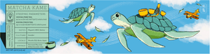 Cartoon turtles with luggage on a blue sky background