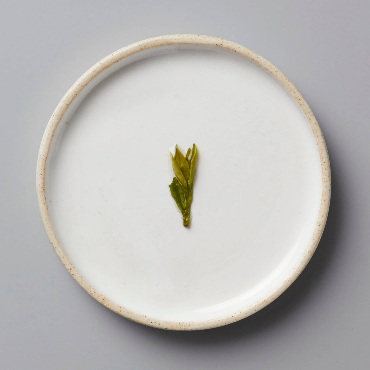 Session Longjing green tea leaves delicately displayed on a minimalist white ceramic plate with textured rim