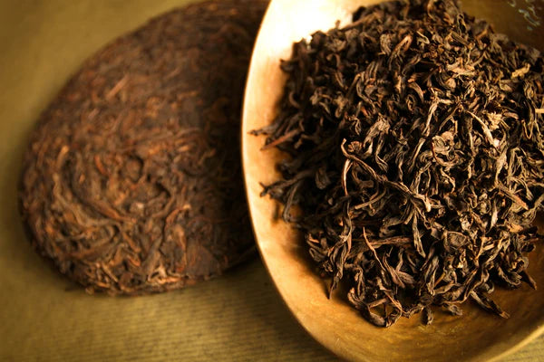 Aging Tea Is Optional, Not Required