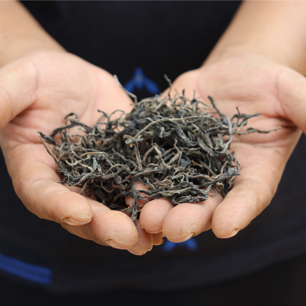 Where It Shows Up in Different Teas