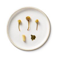 BOUQUET | tisane blend
