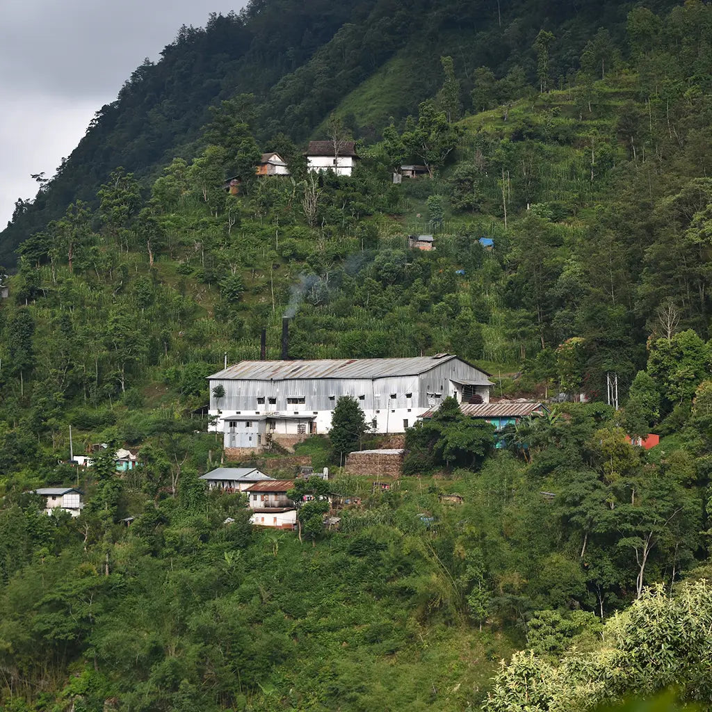A large, white industrial building with a metal roof is nestled amid lush green hills. Smoke rises from its chimney, surrounded by smaller homes.