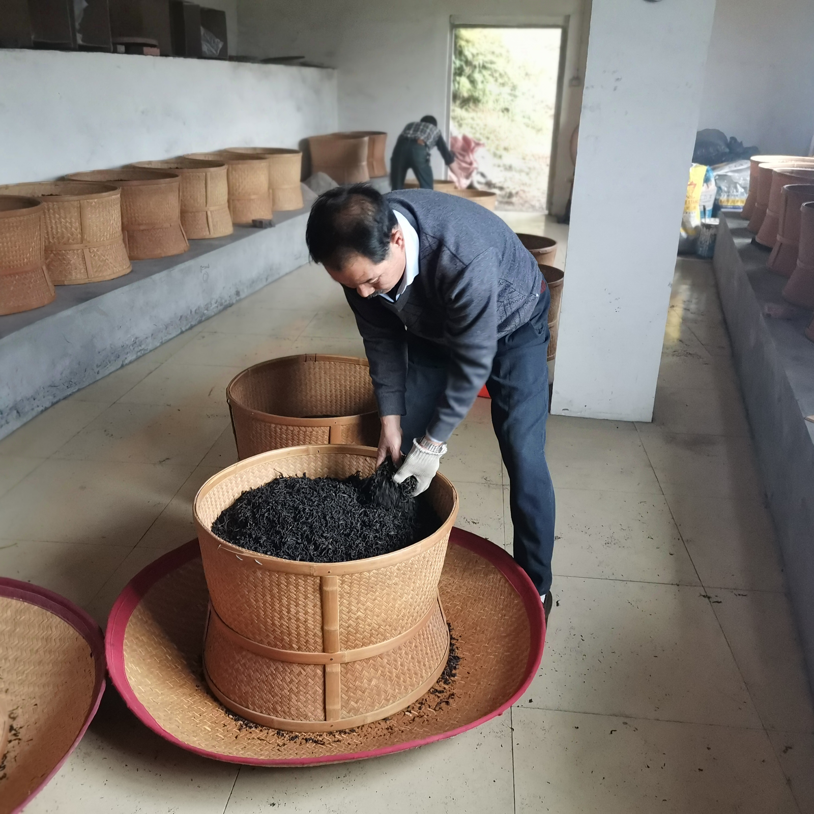 A man carefully inspects tea leaves in a large woven basket inside a processing room. Multiple empty baskets line shelves, and soft light enters through a doorway.