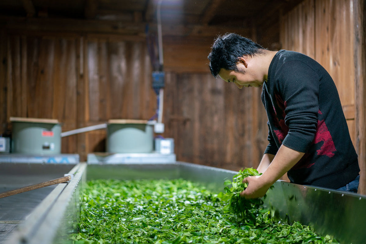 Why Bruising Is Considered an Art