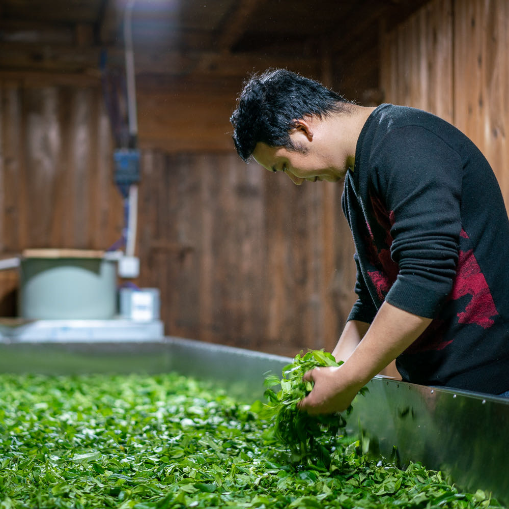 A man is carefully inspecting and handling fresh green tea leaves in a wooden interior, conveying focus and dedication in a traditional tea processing setting.