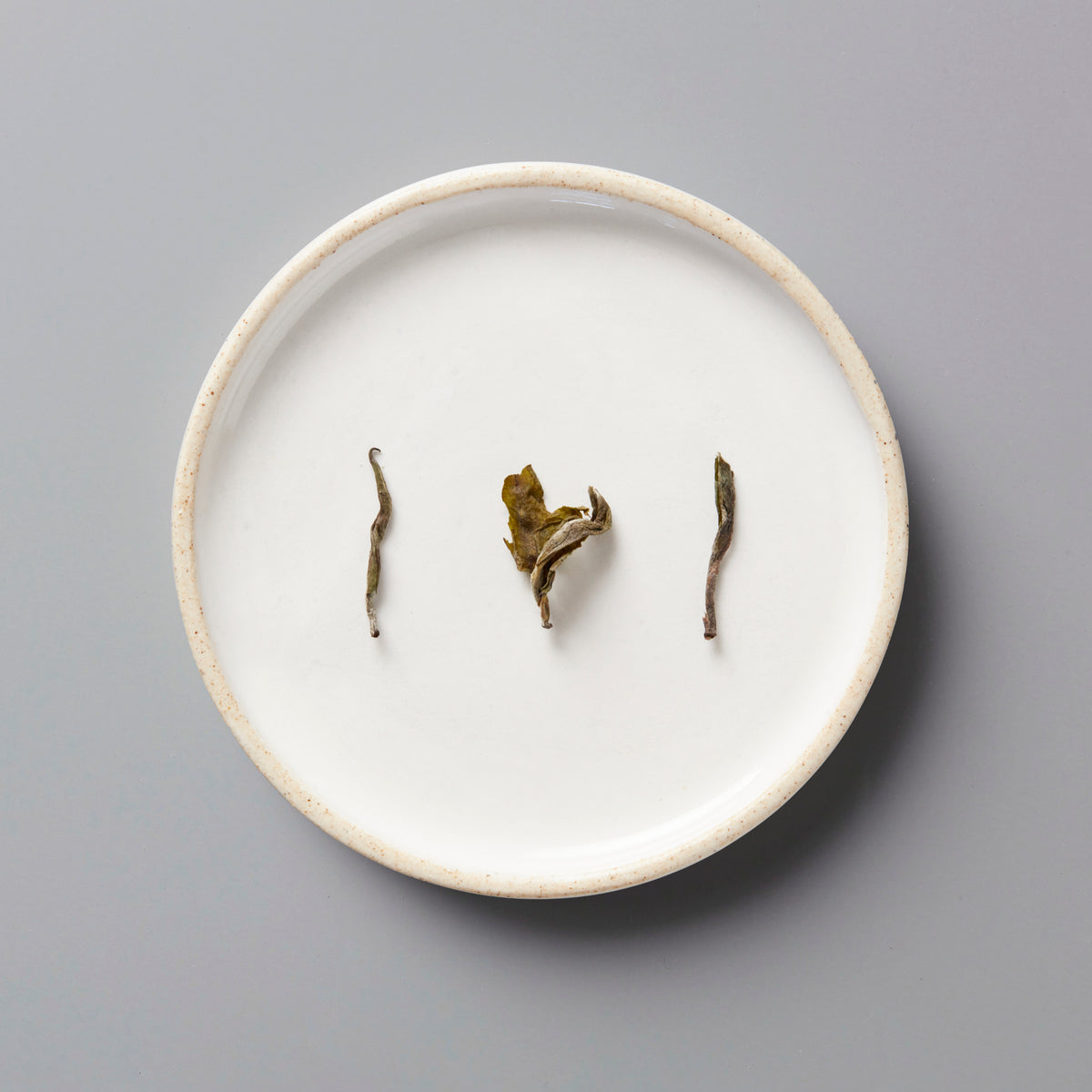 Nepal Prathama white tea leaves arranged on white ceramic plate showing delicate first flush buds