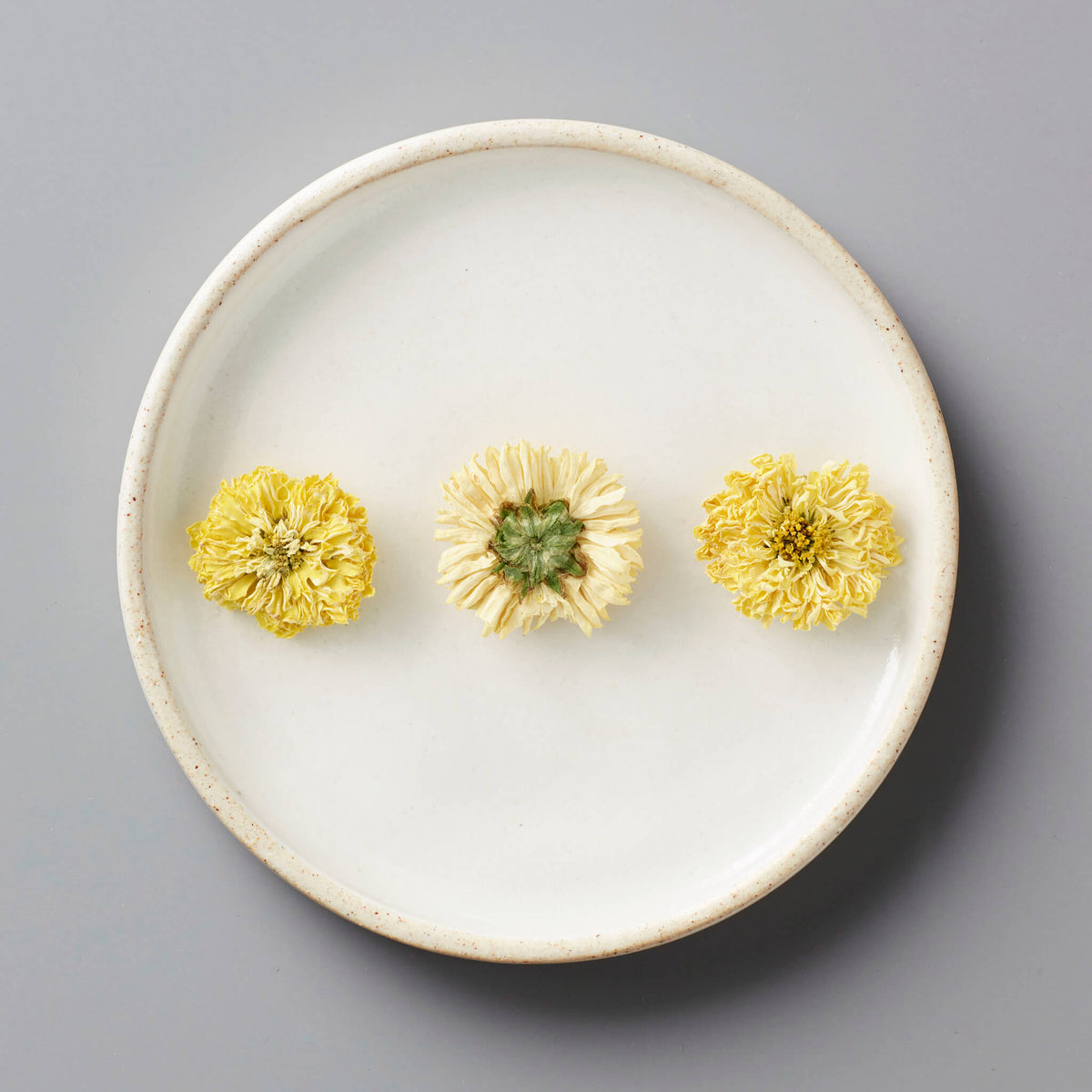 CHRYS tisane with three dried chrysanthemum flowers arranged in a row on white ceramic plate