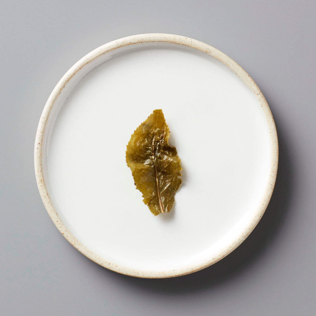 GUI SHAN oolong tea leaf displayed on white ceramic plate with beige rim, showing distinctive crinkled texture
