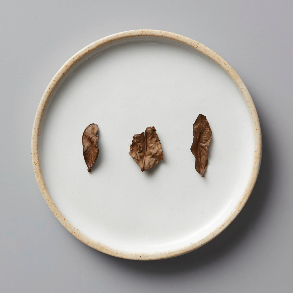 Kyobancha Nakai green tea leaves arranged on white ceramic plate with beige rim