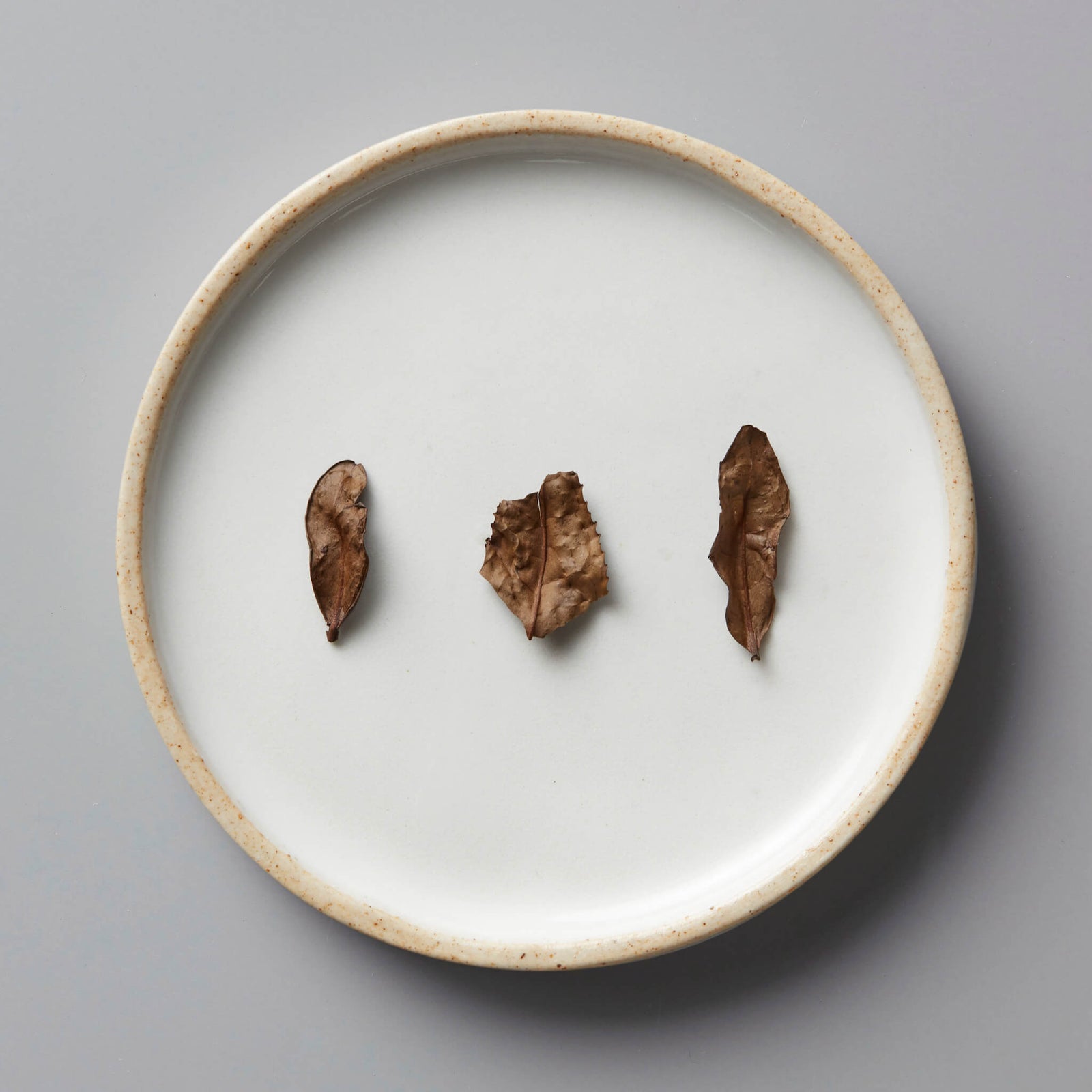 Kyobancha Nakai green tea leaves arranged on white ceramic plate with beige rim