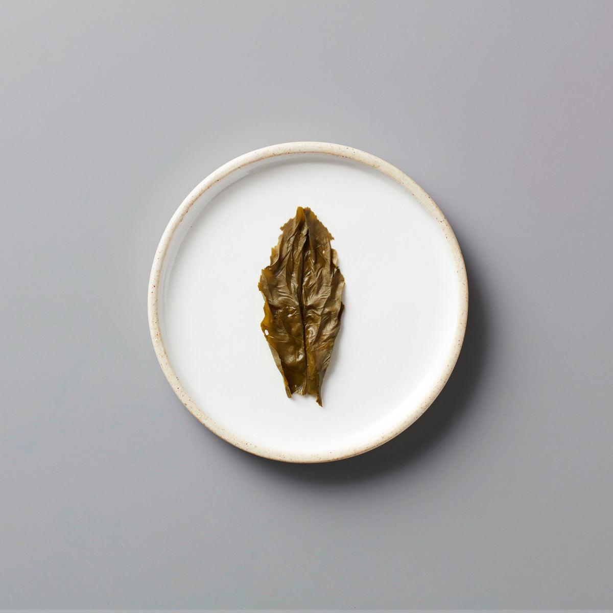 Long Kou Maofeng green tea leaf displayed on white ceramic plate showcasing its twisted fur peak shape