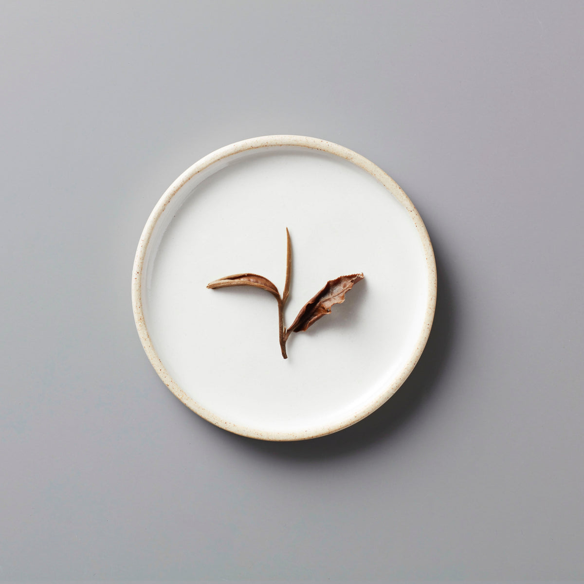 Ma Wei Moonlight white tea leaves delicately arranged on pristine white ceramic plate showing natural bud and leaf detail