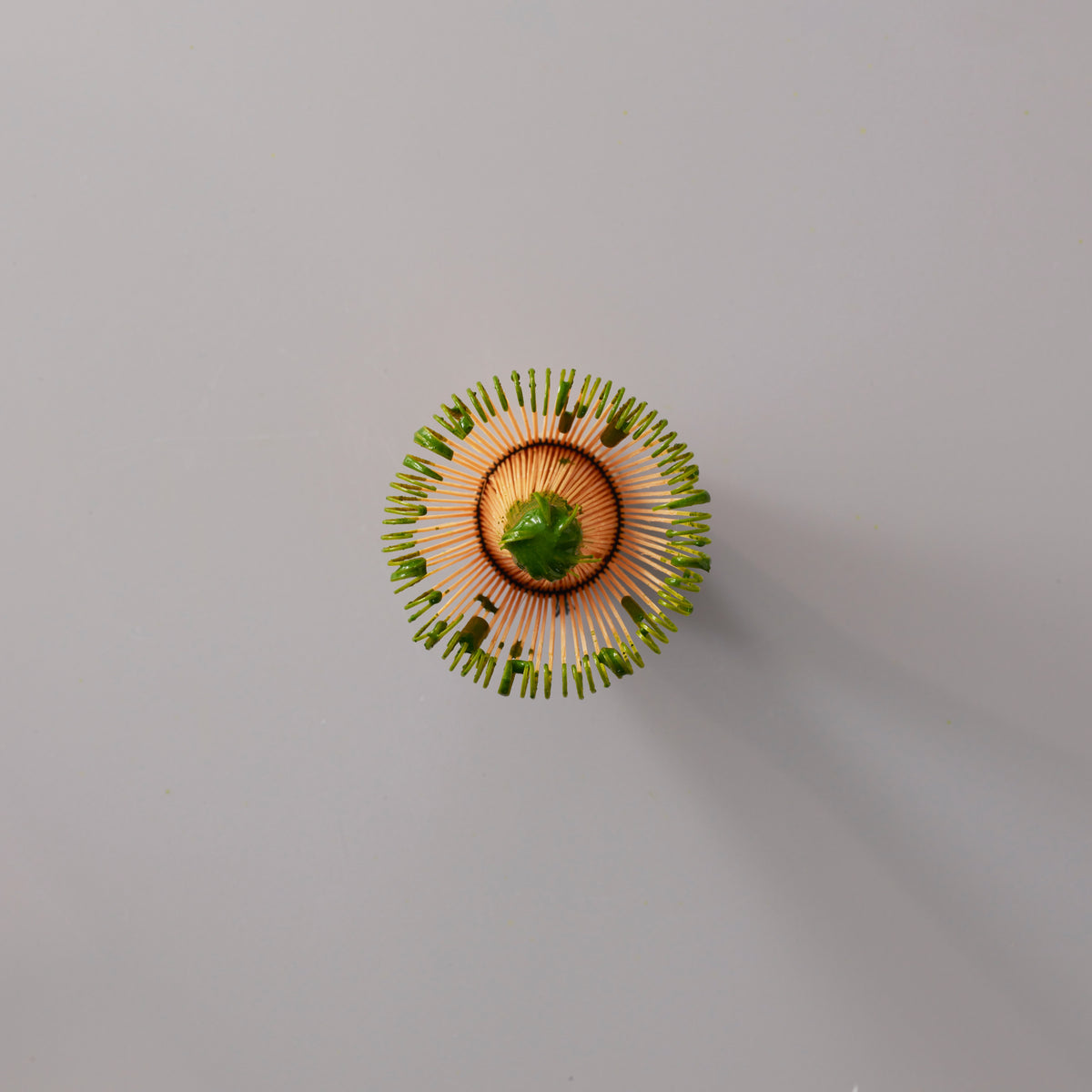 Matcha Whisk Chasen with 80 bamboo tines viewed from above showing circular pattern on grey background