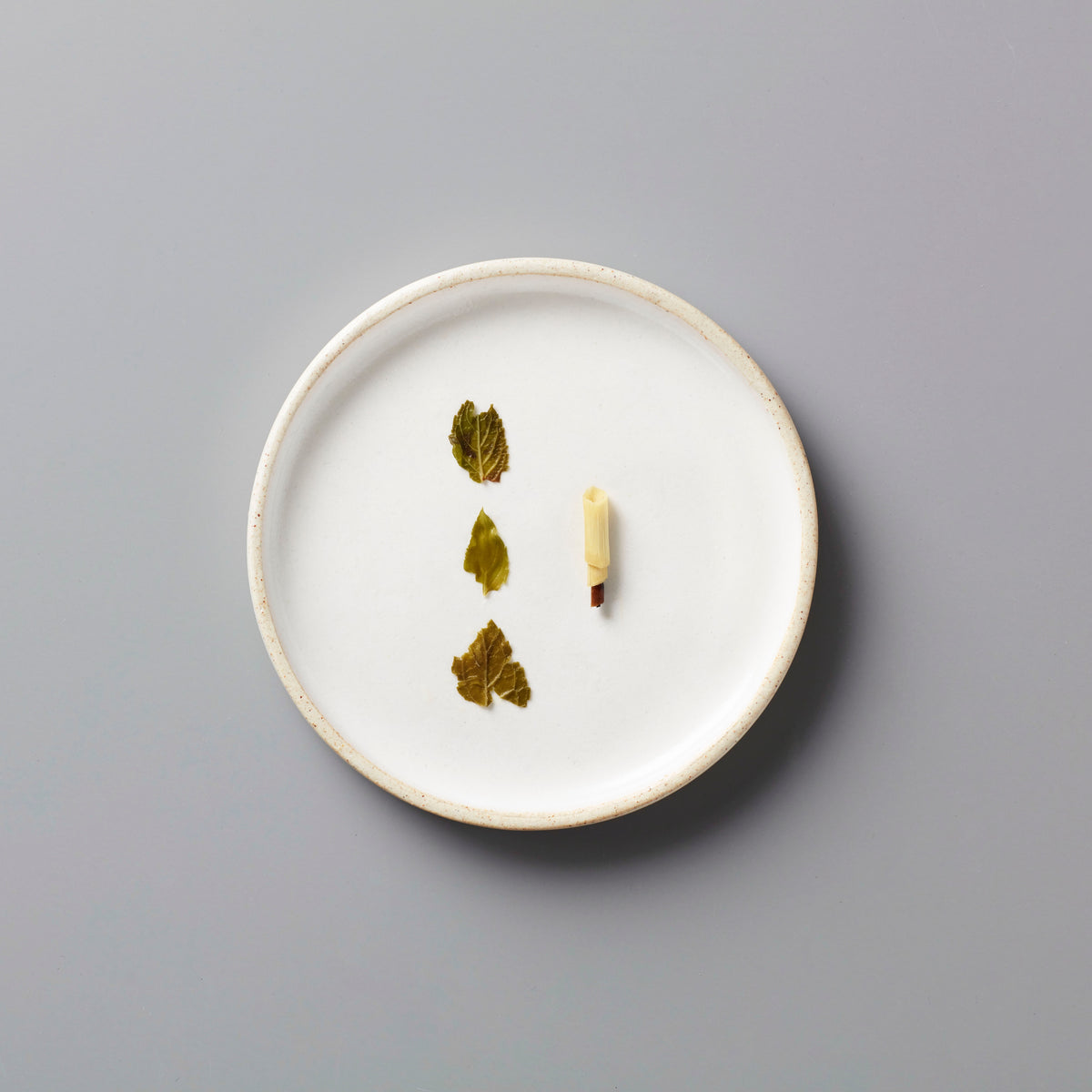 RAINIER tisane blend dried mint and lemongrass leaves on white ceramic plate against grey background