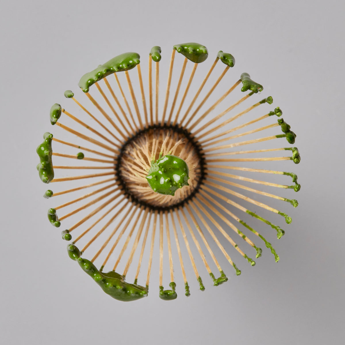 Chasen Tanimura matcha whisk with bright green matcha powder on bamboo tines viewed from above