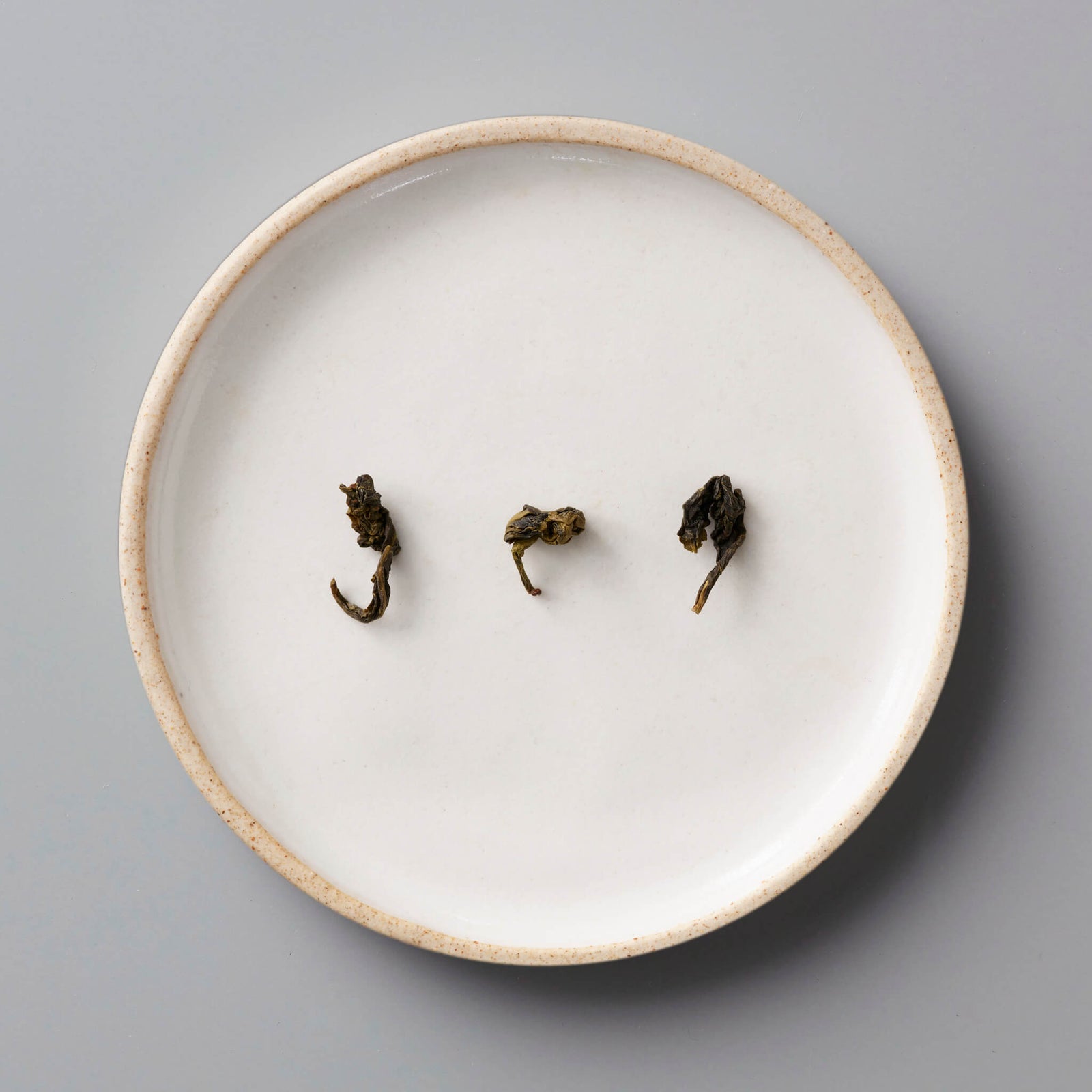 ANXI TGY oolong tea leaves displayed on a white ceramic plate with beige rim, showing three rolled dark leaves