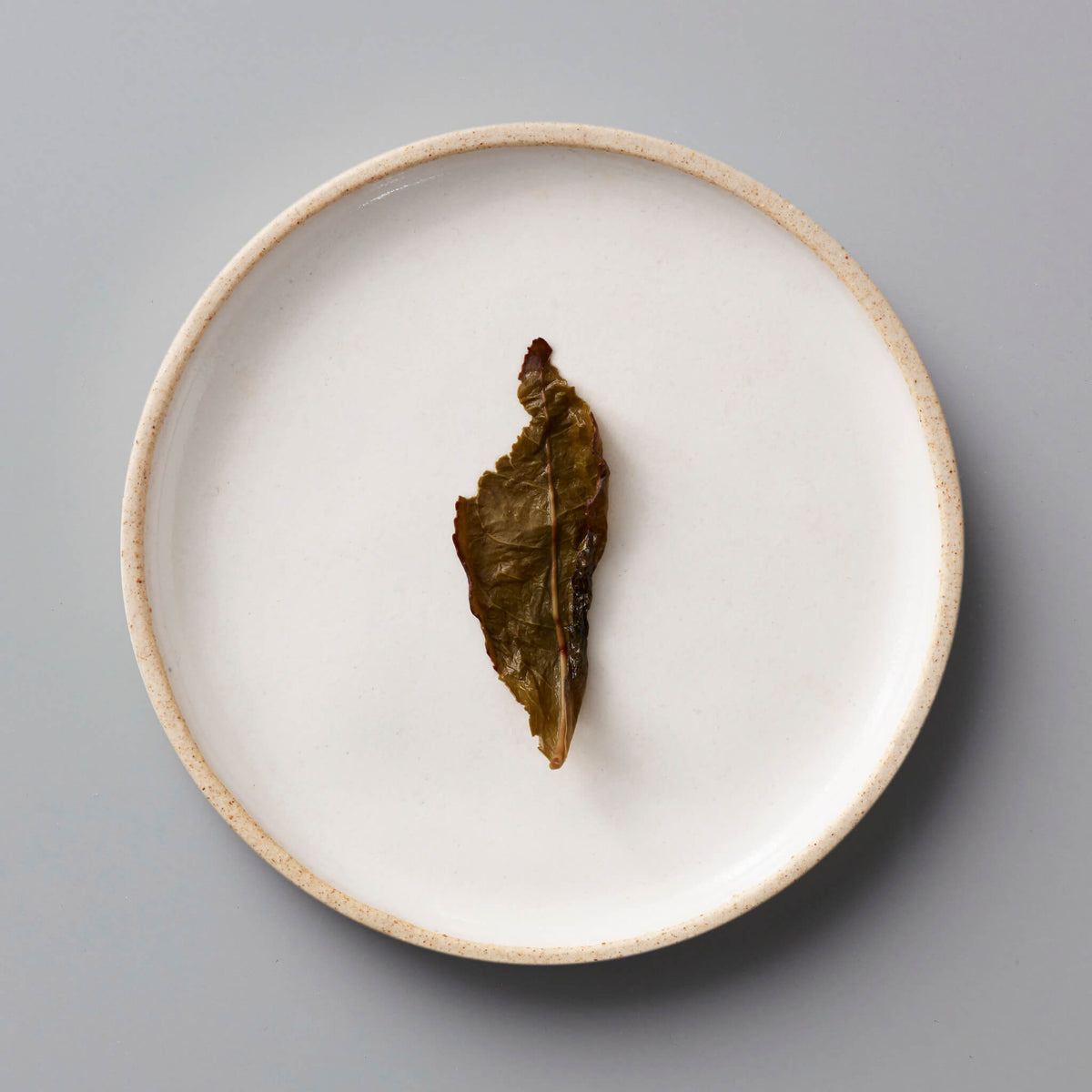 ANXI TGY oolong tea leaf on white ceramic plate showcasing the twisted, dark olive-green leaf characteristic of tieguanyin