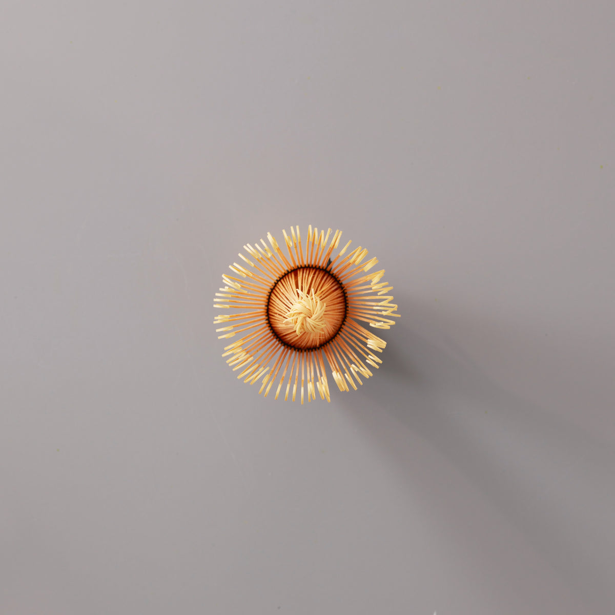 Traditional bamboo Matcha Whisk Chasen with 80 prongs viewed from above on grey background